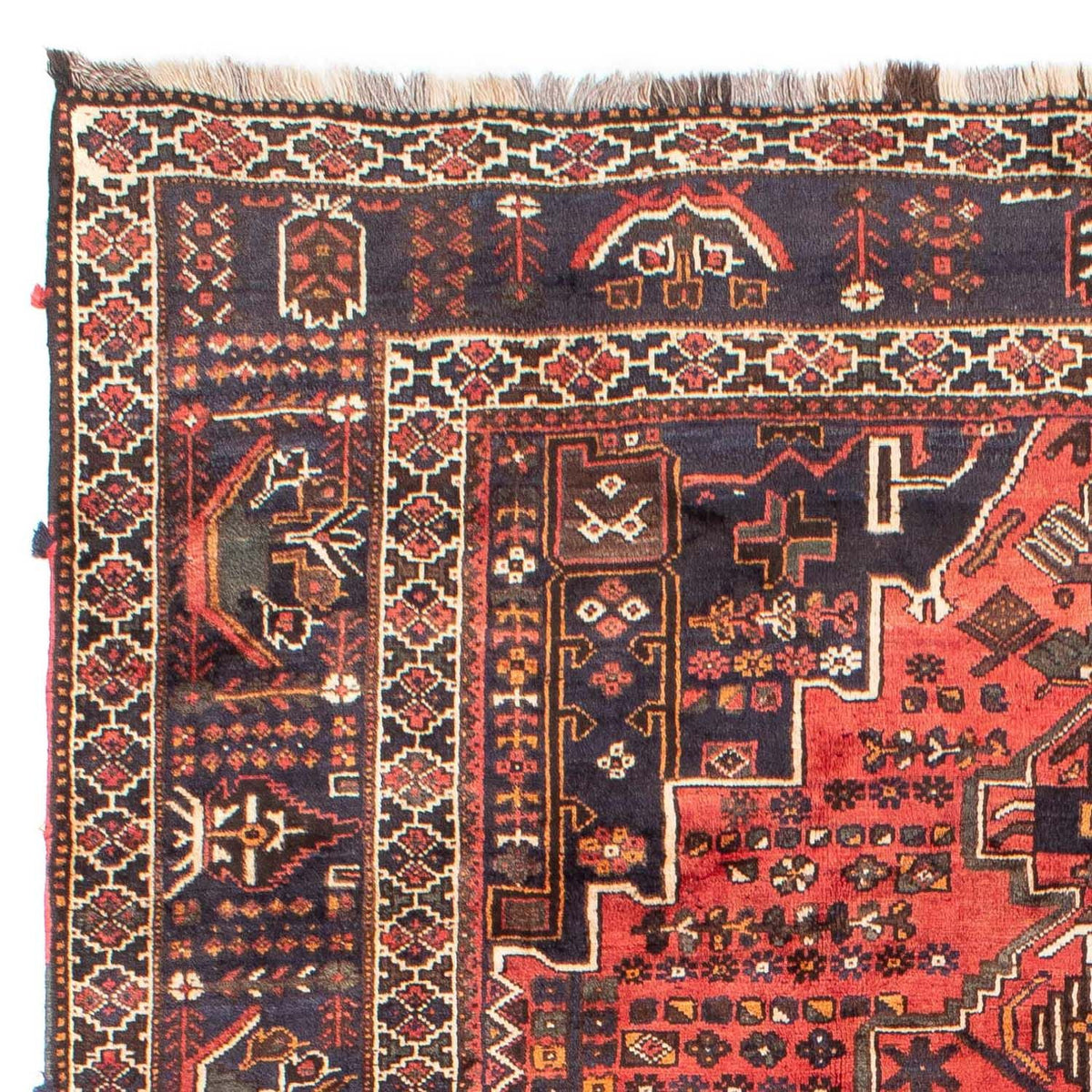 Shiraz Tappeto 220x300cm - Tappeto persiano