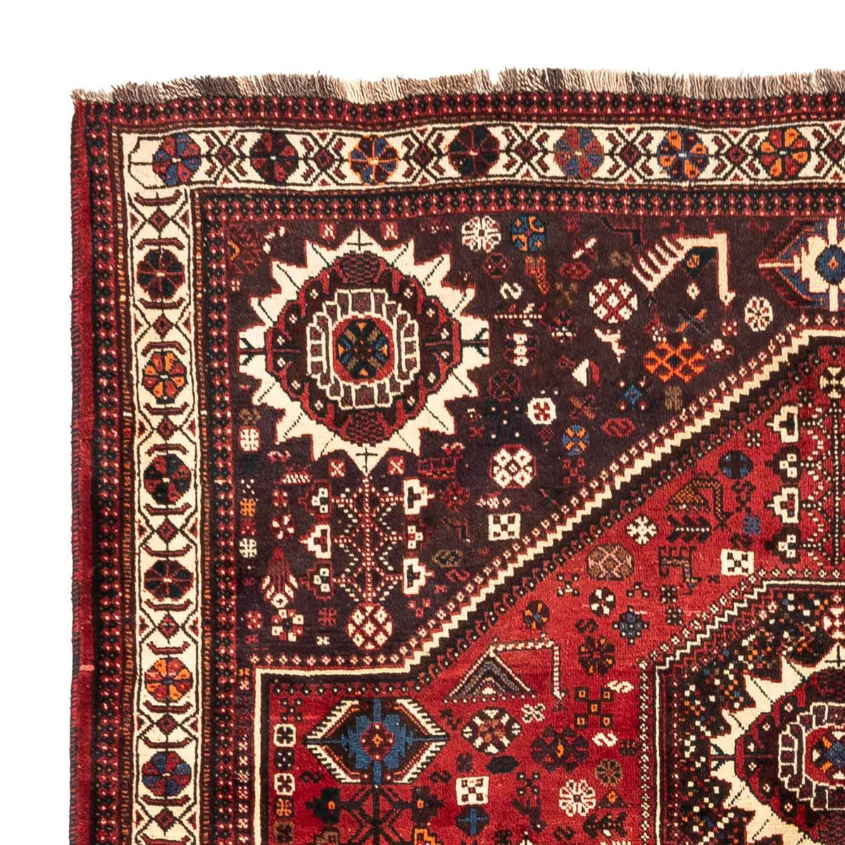 Shiraz Tappeto 183x244cm - Tappeto persiano