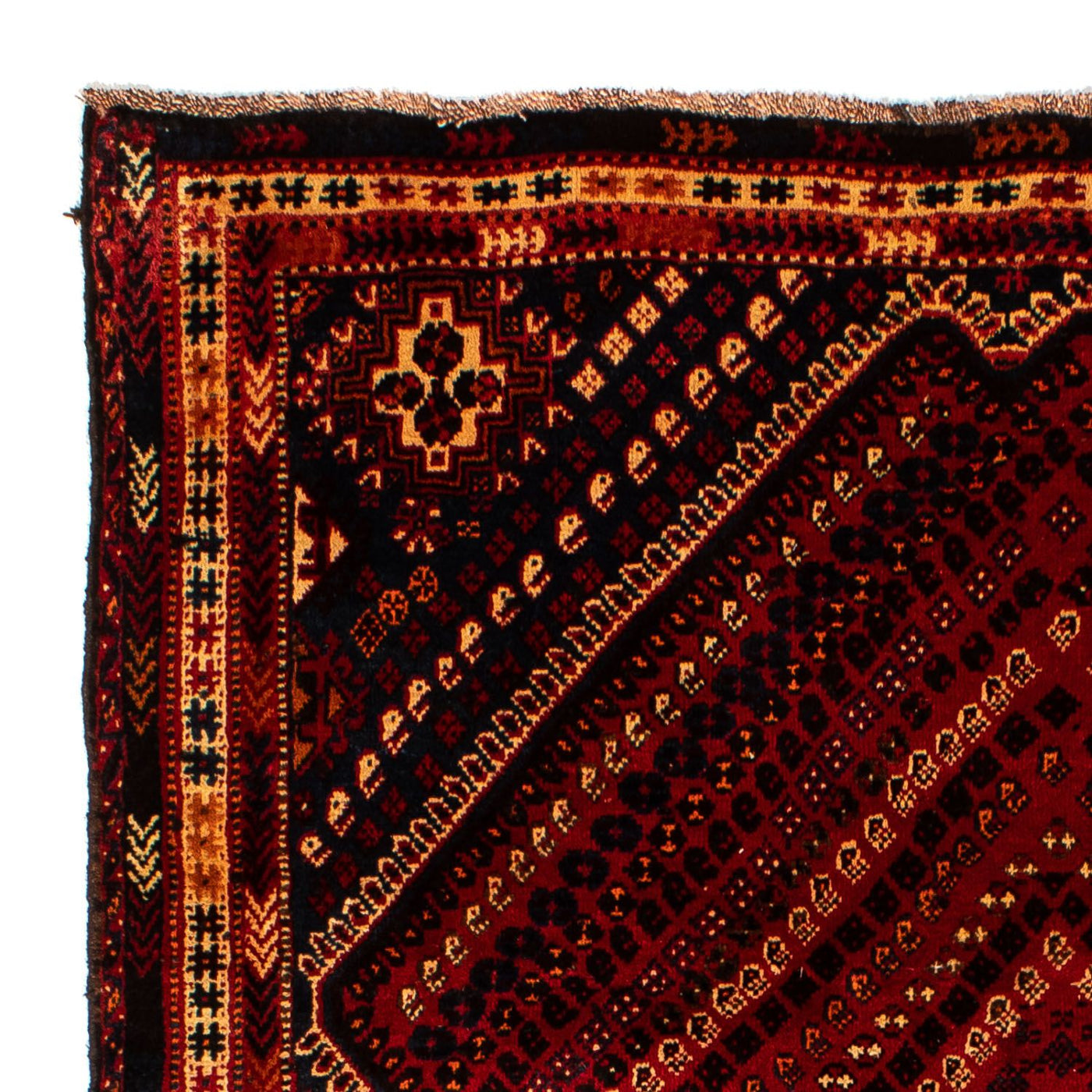 Shiraz Tappeto 277x193cm - Tappeto persiano