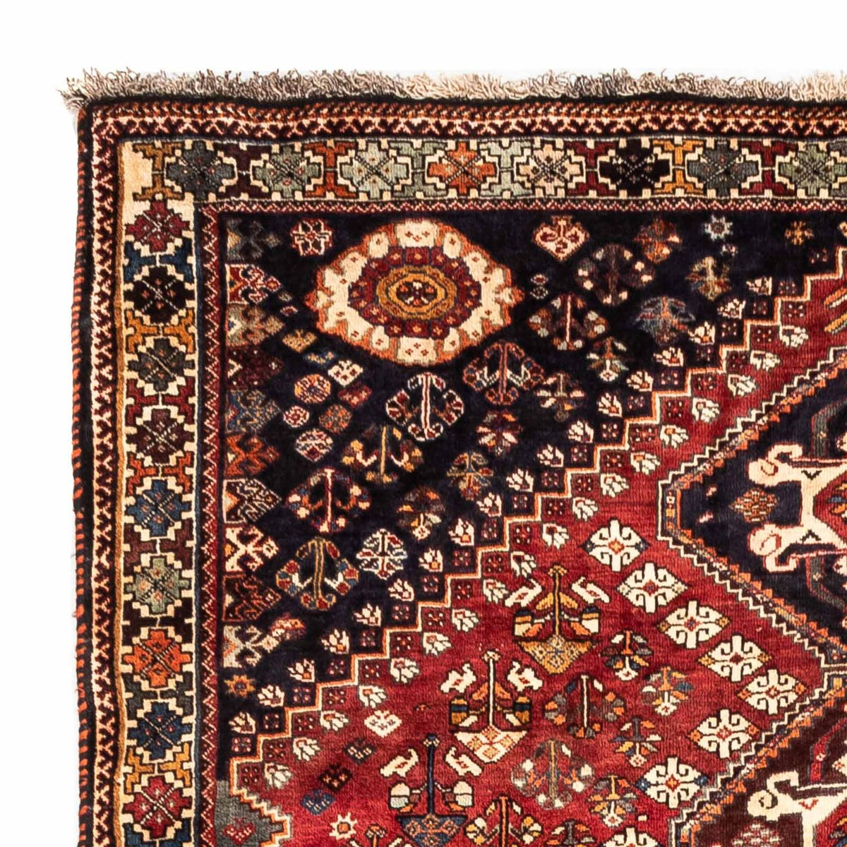 Shiraz Tappeto 170x265cm - Tappeto persiano