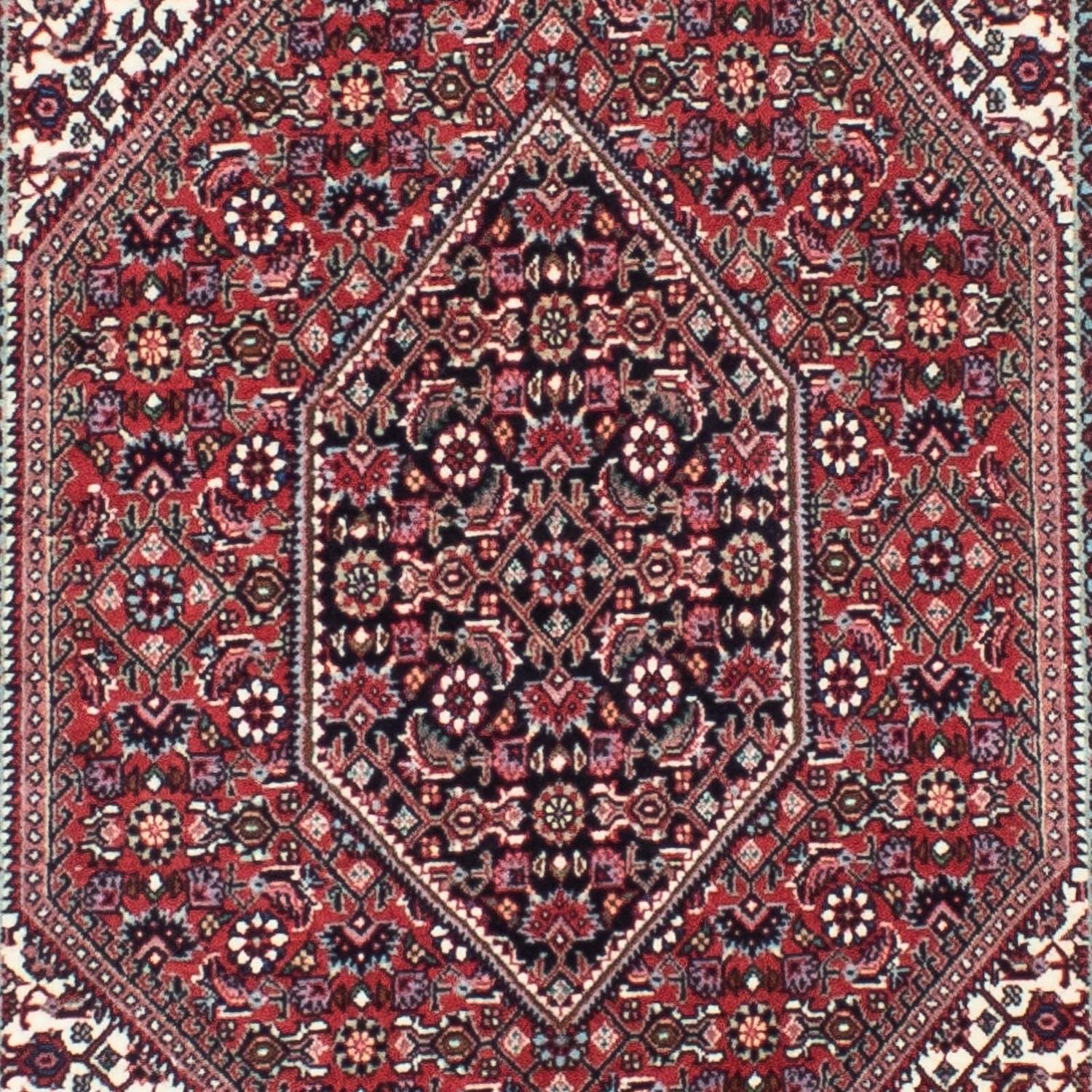 Tappeto corsia Tappeto Persero - Bidjar - 316 x 82 cm - rosso