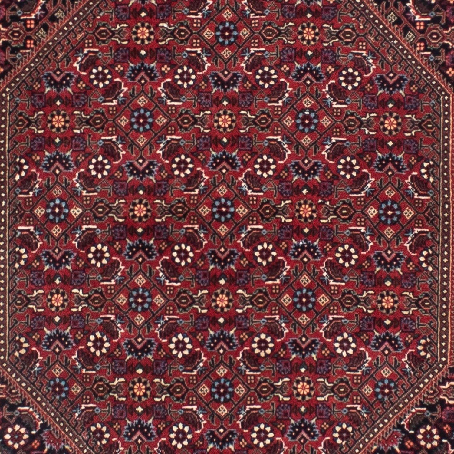 Tappeto corsia Tappeto Persero - Bidjar - 306 x 85 cm - ruggine
