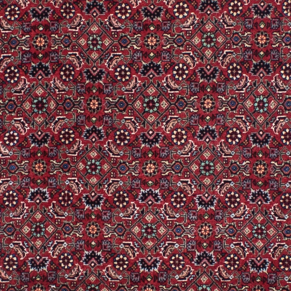 Tappeto corsia Tappeto Persero - Bidjar - 295 x 84 cm - rosso scuro