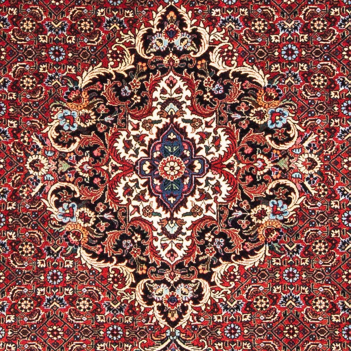 Tappeto Persero - Bidjar - 165 x 110 cm - rosso scuro