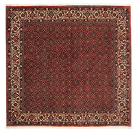Tappeto Persero - Bidjar quadrato  - 203 x 197 cm - rosso scuro