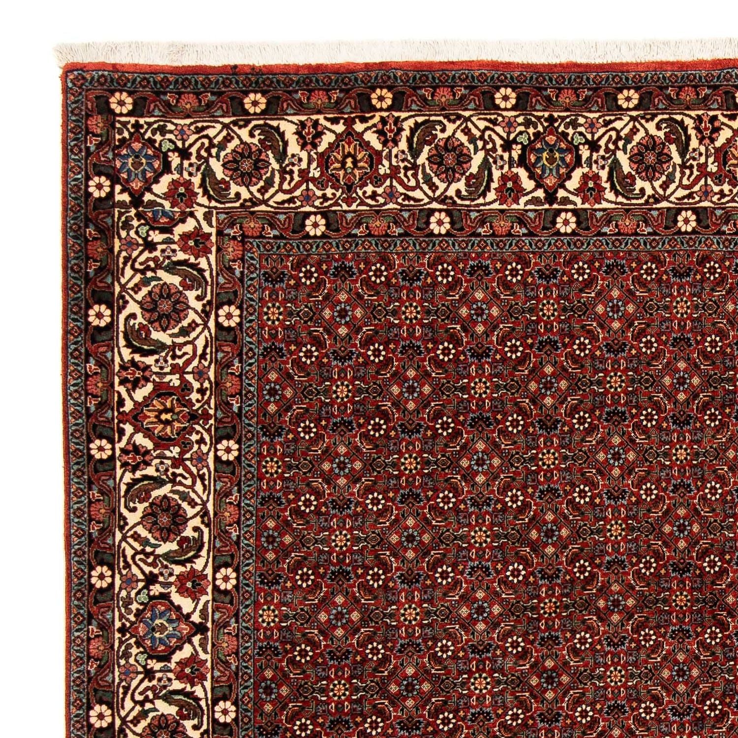 Tappeto Persero - Bidjar quadrato  - 203 x 197 cm - rosso scuro