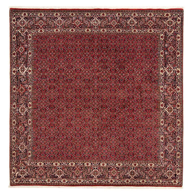 Tappeto Persero - Bidjar quadrato  - 205 x 205 cm - rosso scuro