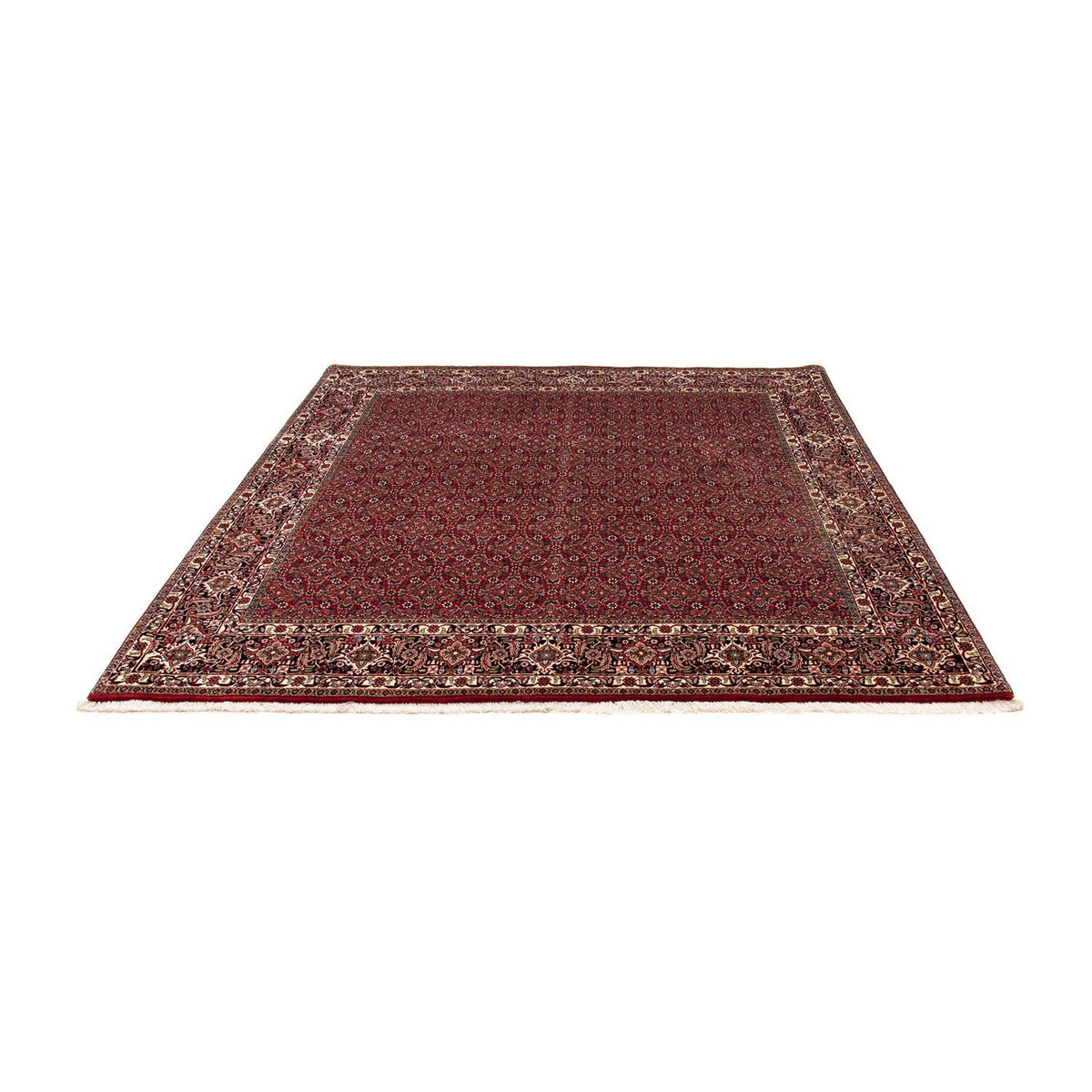 Tappeto Persero - Bidjar quadrato  - 205 x 205 cm - rosso scuro