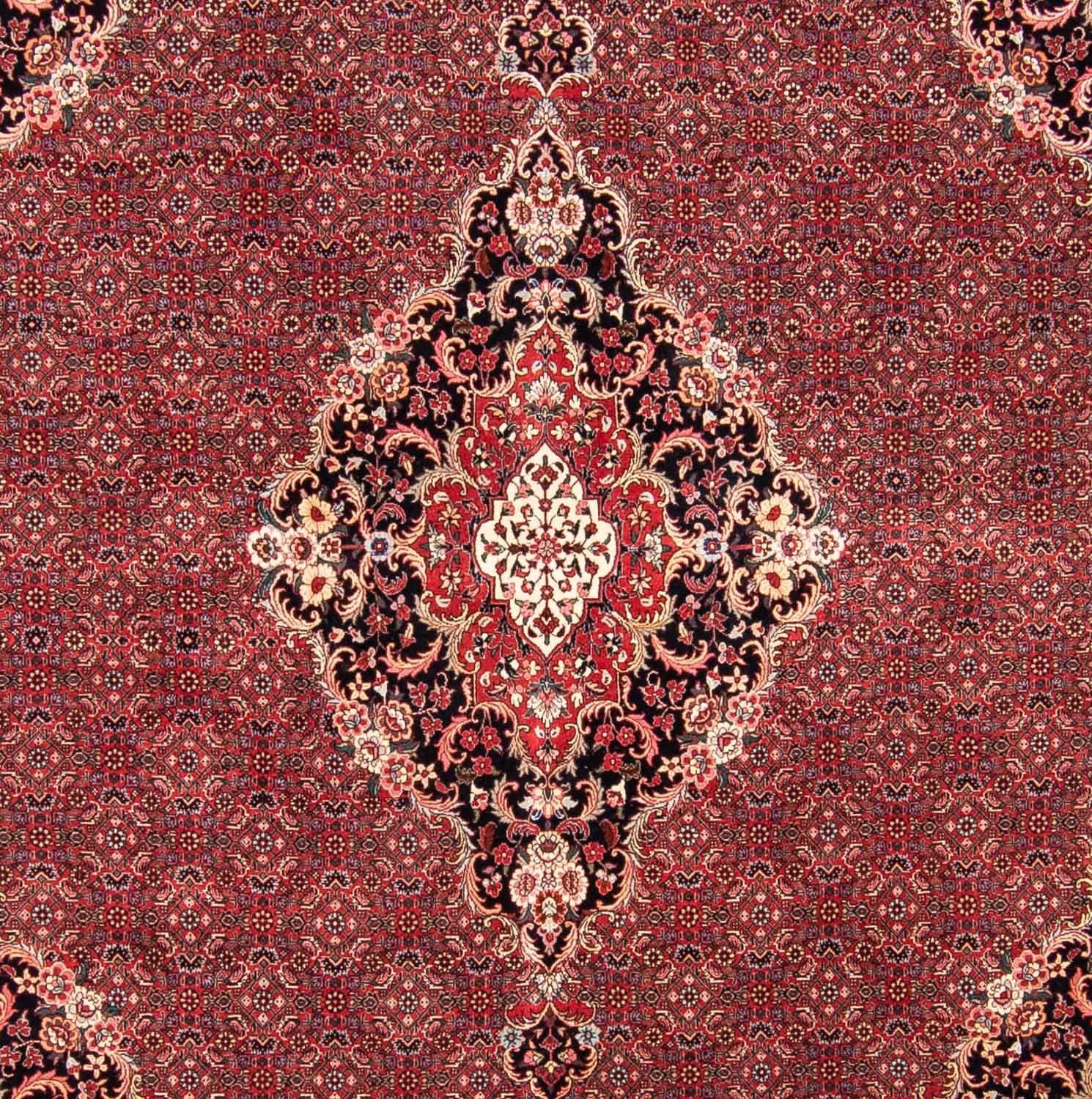 Tappeto Persero - Bidjar quadrato  - 253 x 253 cm - rosso scuro