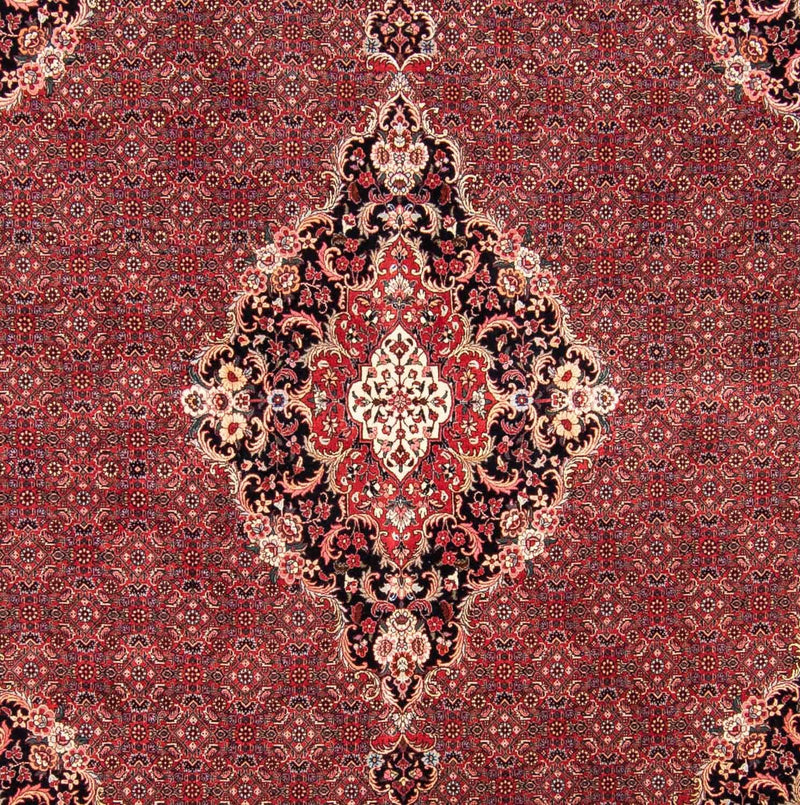 Tappeto Persero - Bidjar quadrato  - 253 x 253 cm - rosso scuro