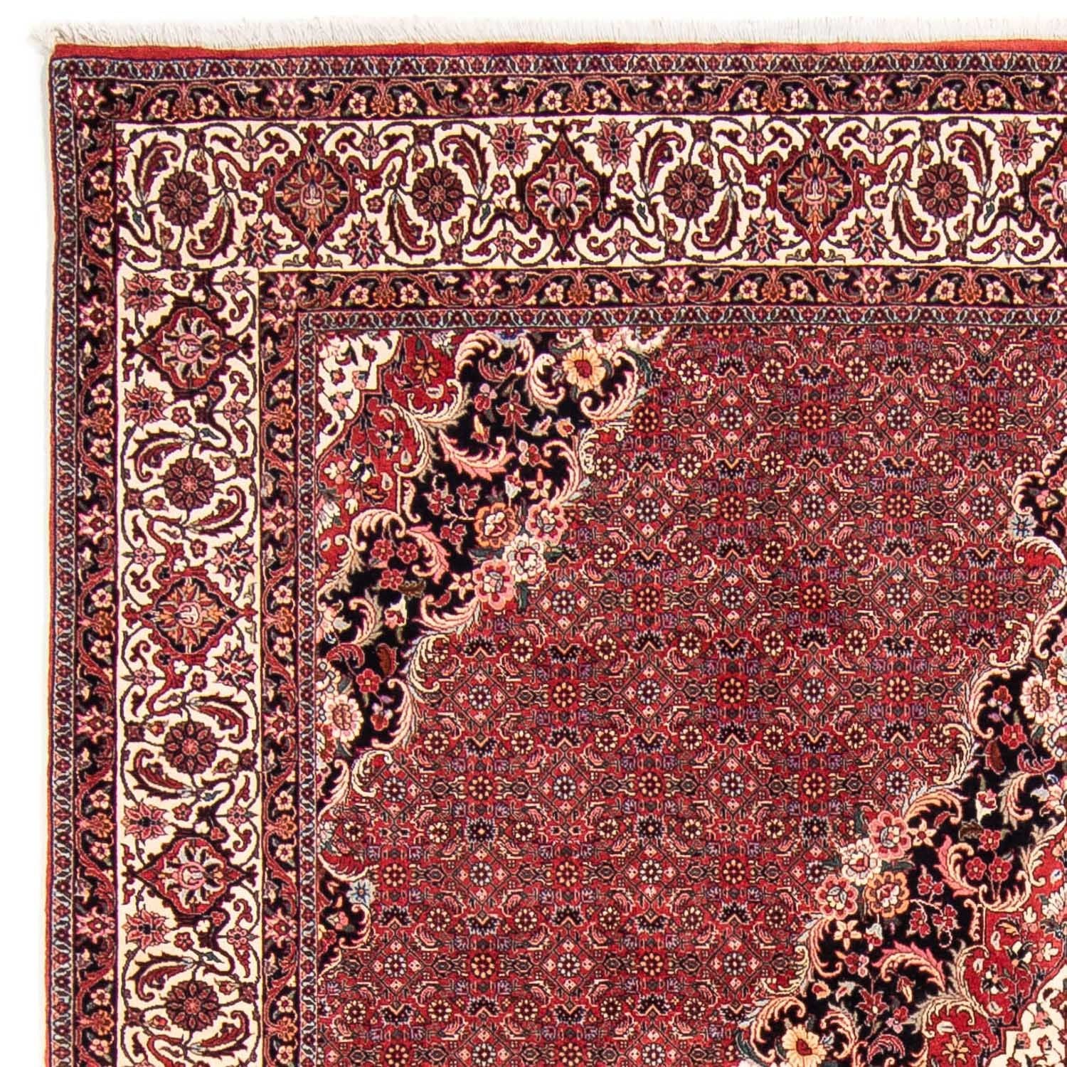 Tappeto Persero - Bidjar quadrato  - 253 x 253 cm - rosso scuro
