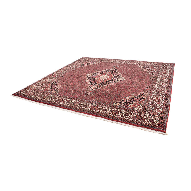 Tappeto Persero - Bidjar quadrato  - 253 x 253 cm - rosso scuro