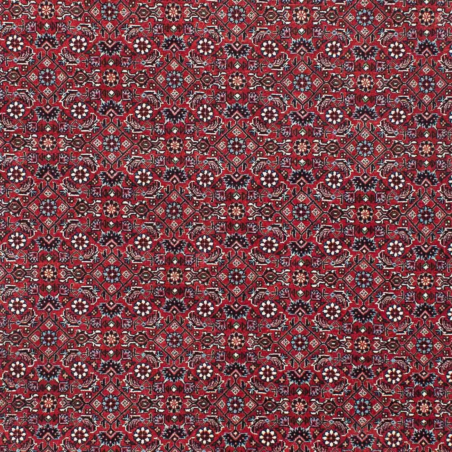 Tappeto Persero - Bidjar - 209 x 132 cm - rosso