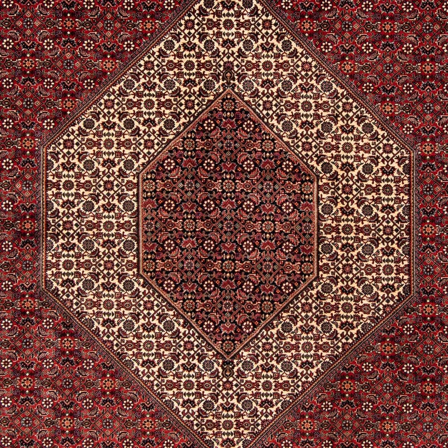 Tappeto Persero - Bidjar - 261 x 206 cm - rosso scuro