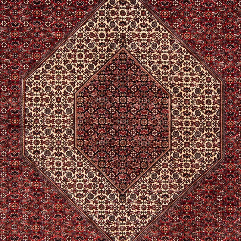 Tappeto Persero - Bidjar - 261 x 206 cm - rosso scuro