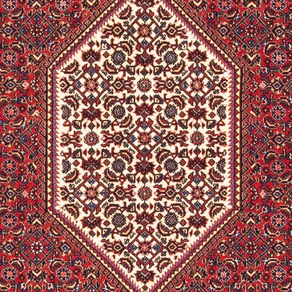 Tappeto Persero - Bidjar - 148 x 81 cm - rosso