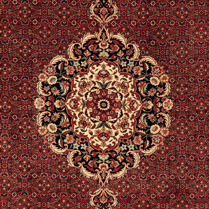 Tappeto Persero - Bidjar - 272 x 204 cm - rosso scuro