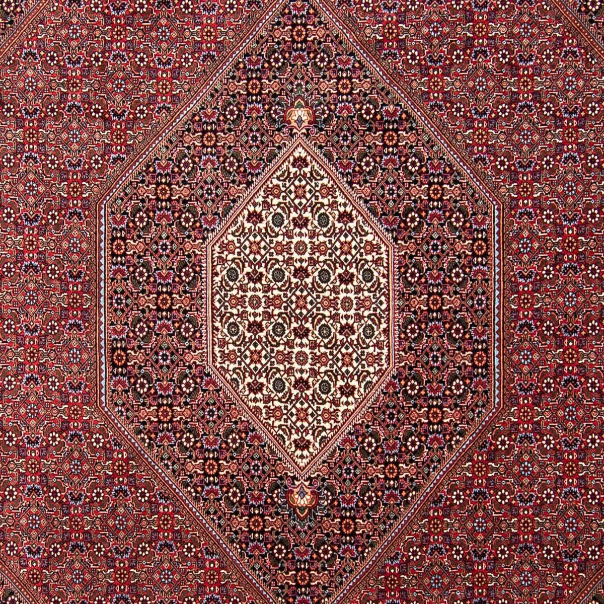 Tappeto Persero - Bidjar - 298 x 258 cm - rosso
