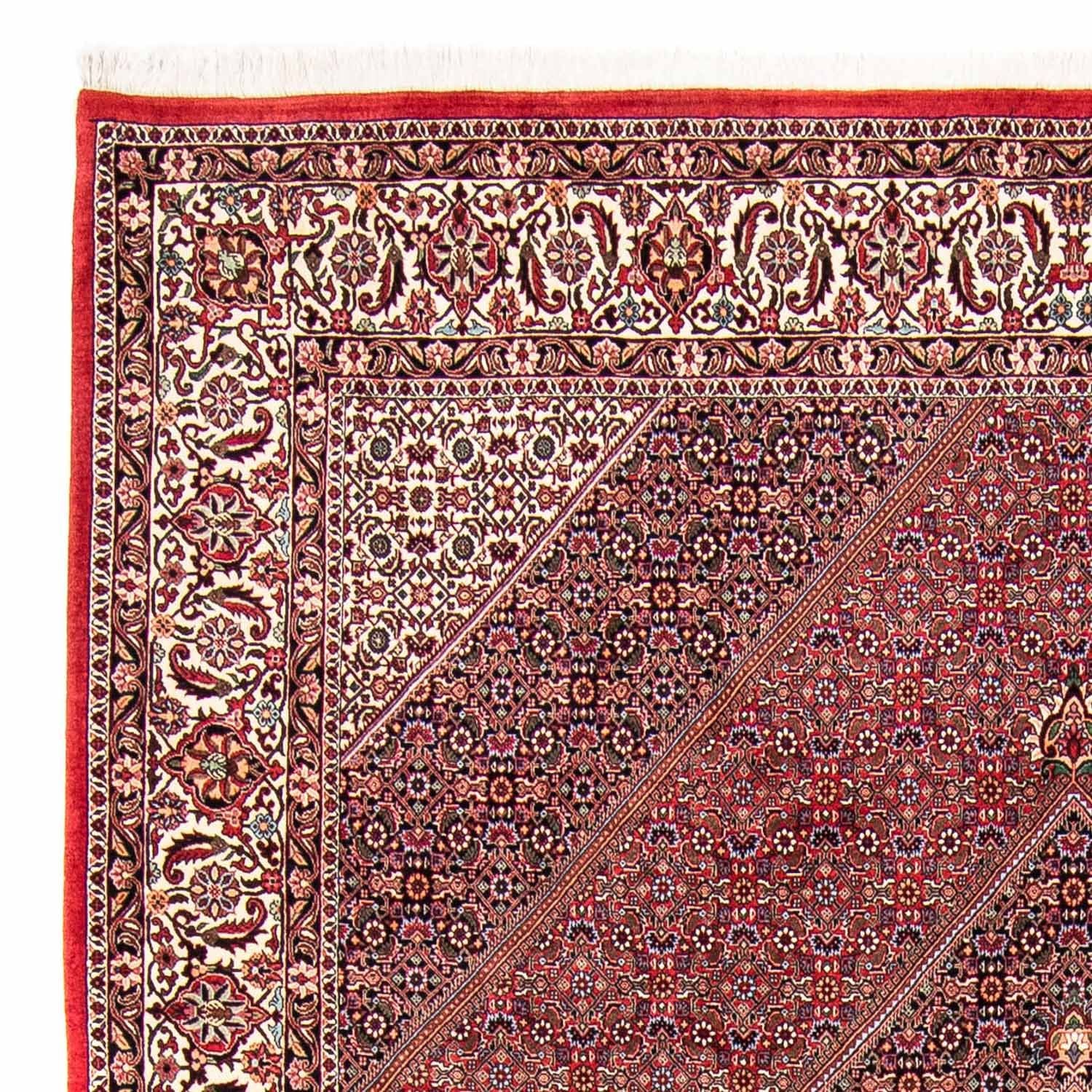 Tappeto Persero - Bidjar - 298 x 258 cm - rosso