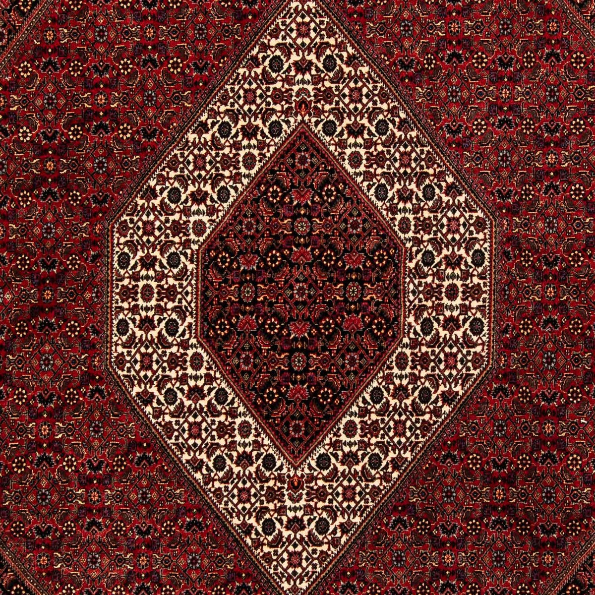 Tappeto Persero - Bidjar - 250 x 200 cm - rosso scuro