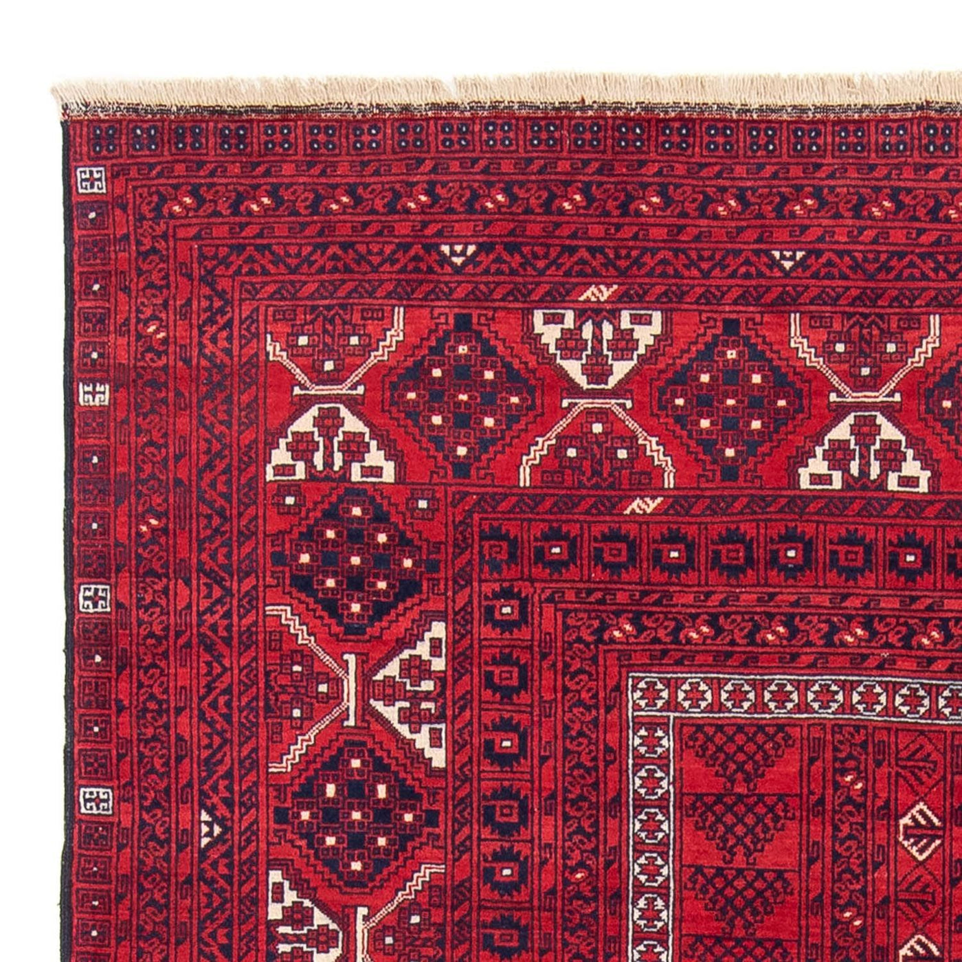 Tappeto Turkaman 248x163cm - Tappeto persiano