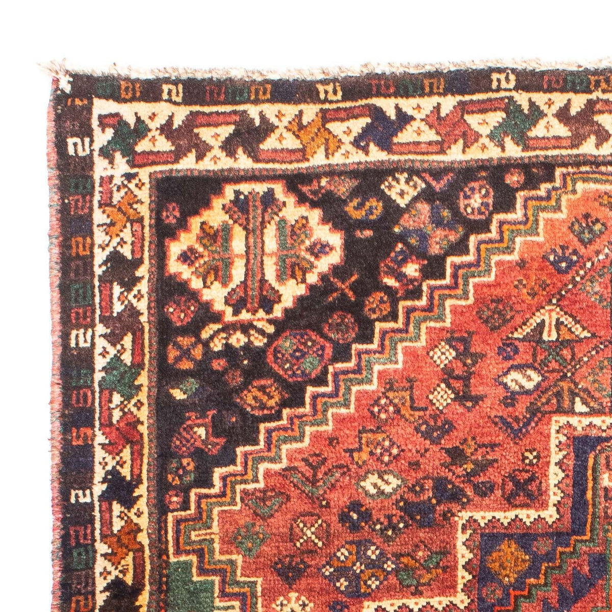 Shiraz Tappeto 114x154cm - Tappeto persiano