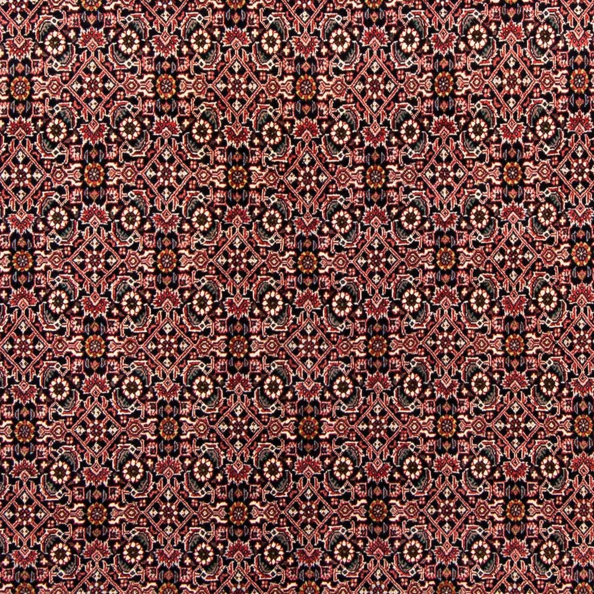 Tappeto Persero - Bidjar - 247 x 168 cm - blu scuro