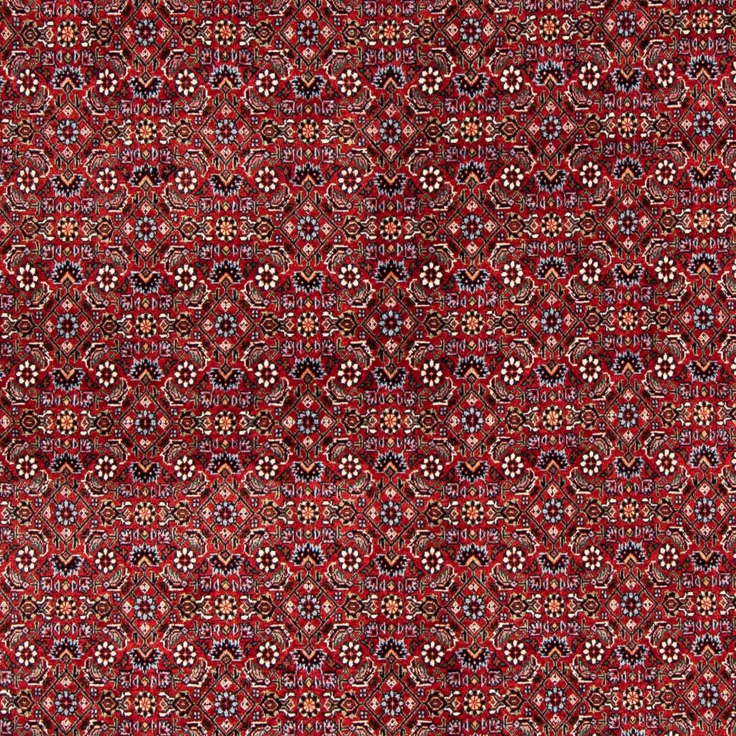 Tappeto Persero - Bidjar - 231 x 170 cm - rosso scuro