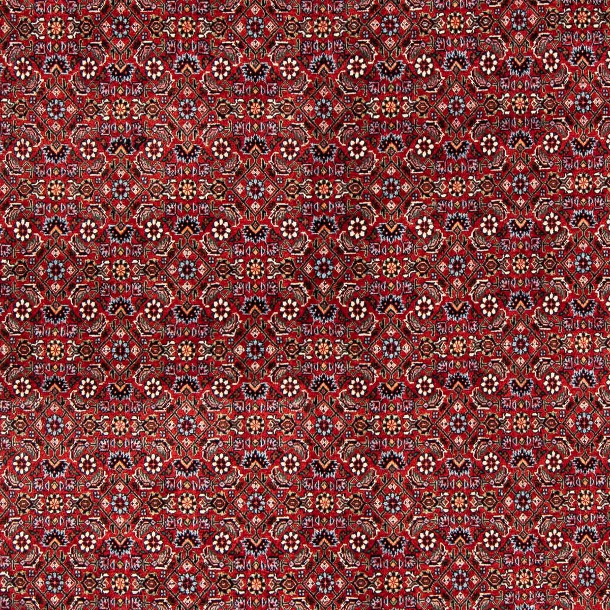 Tappeto Persero - Bidjar - 231 x 170 cm - rosso scuro