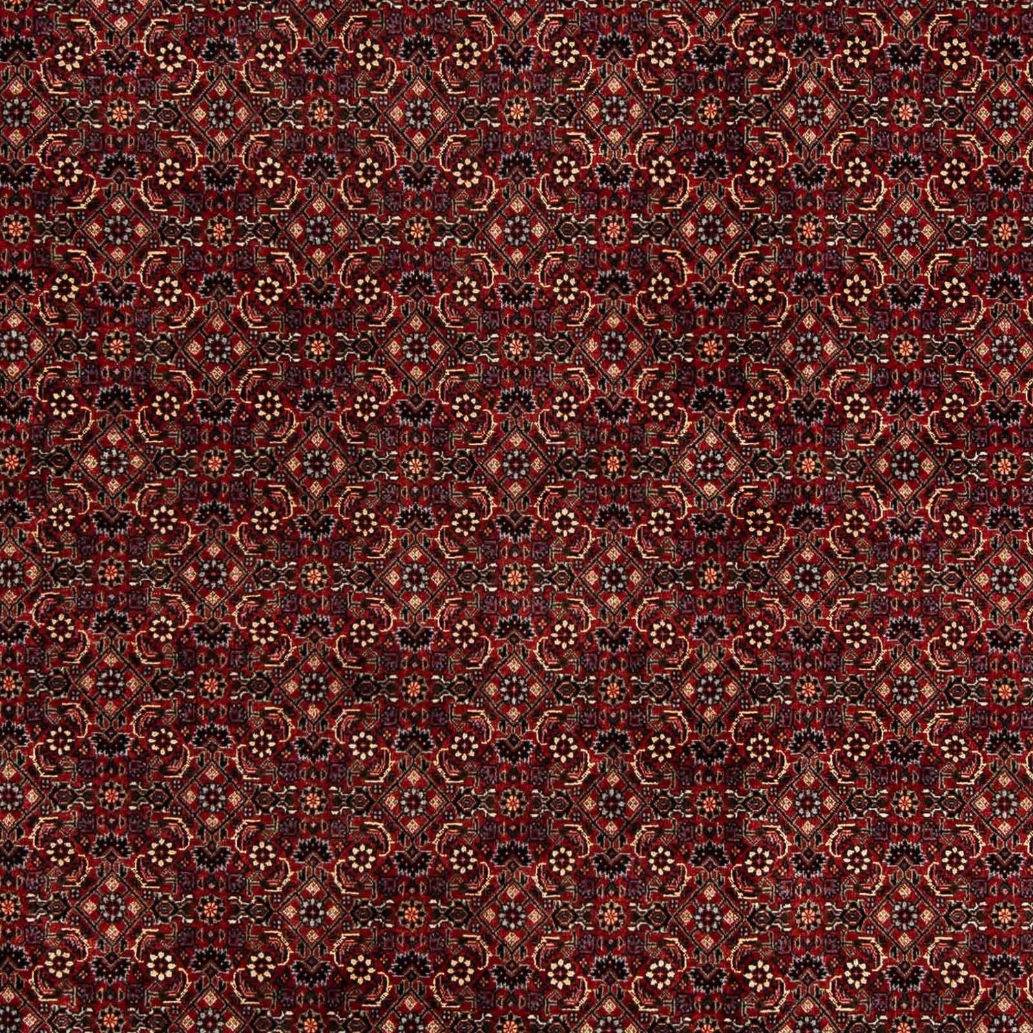 Tappeto Persero - Bidjar - 254 x 198 cm - rosso scuro