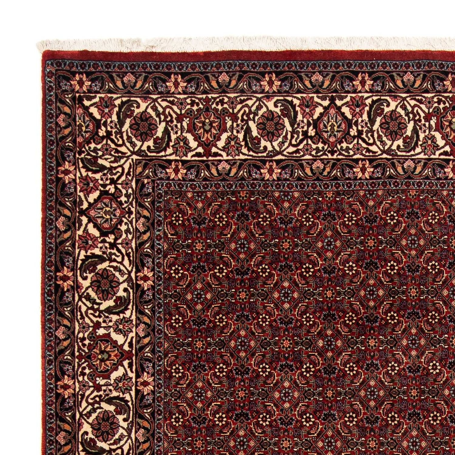 Tappeto Persero - Bidjar - 254 x 198 cm - rosso scuro
