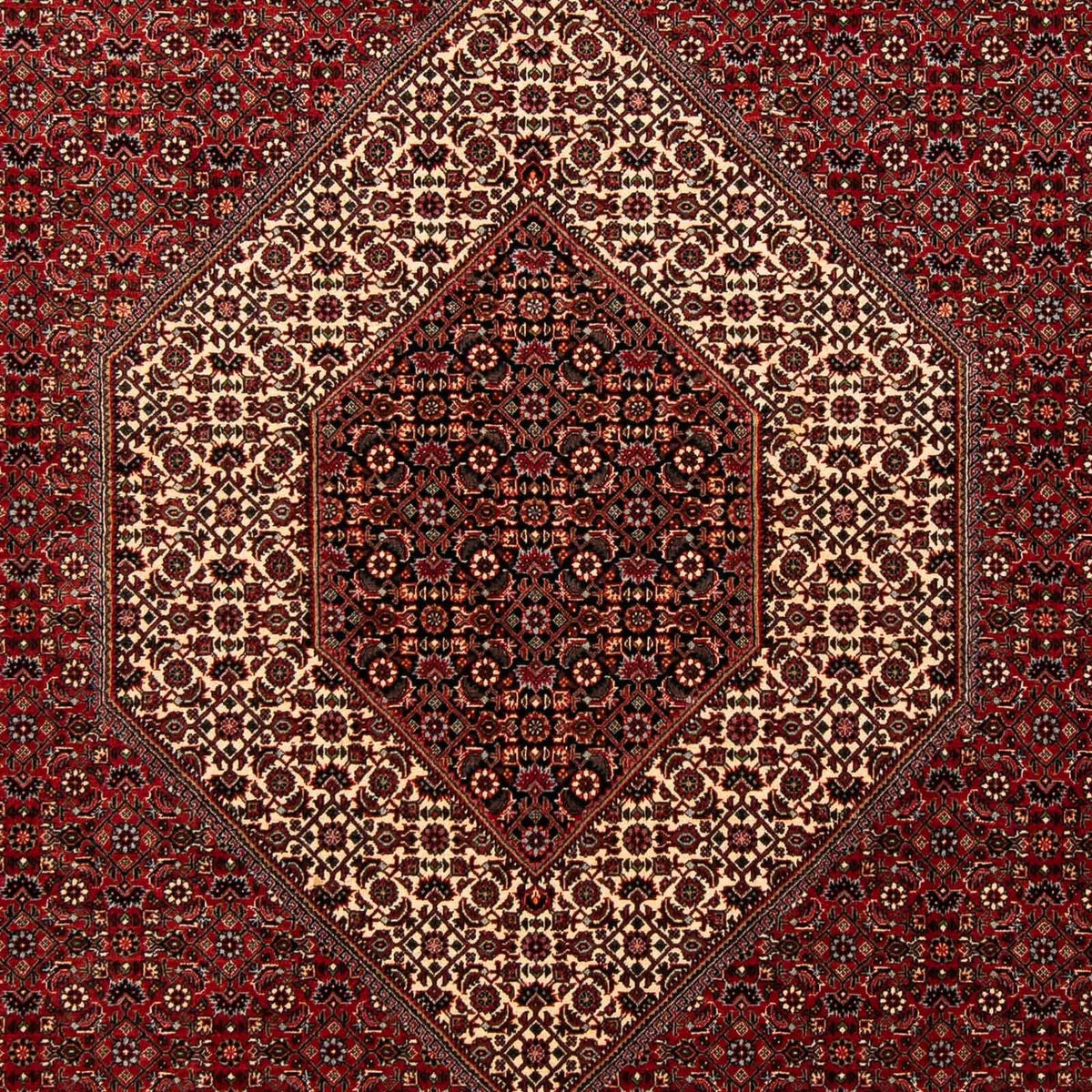 Tappeto Persero - Bidjar - 253 x 202 cm - rosso scuro