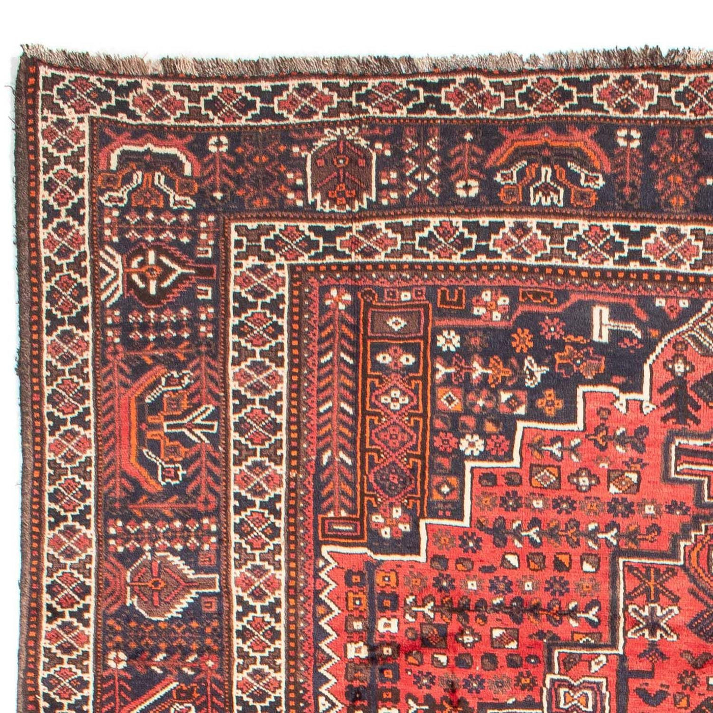 Shiraz Tappeto 295x218cm - Tappeto persiano