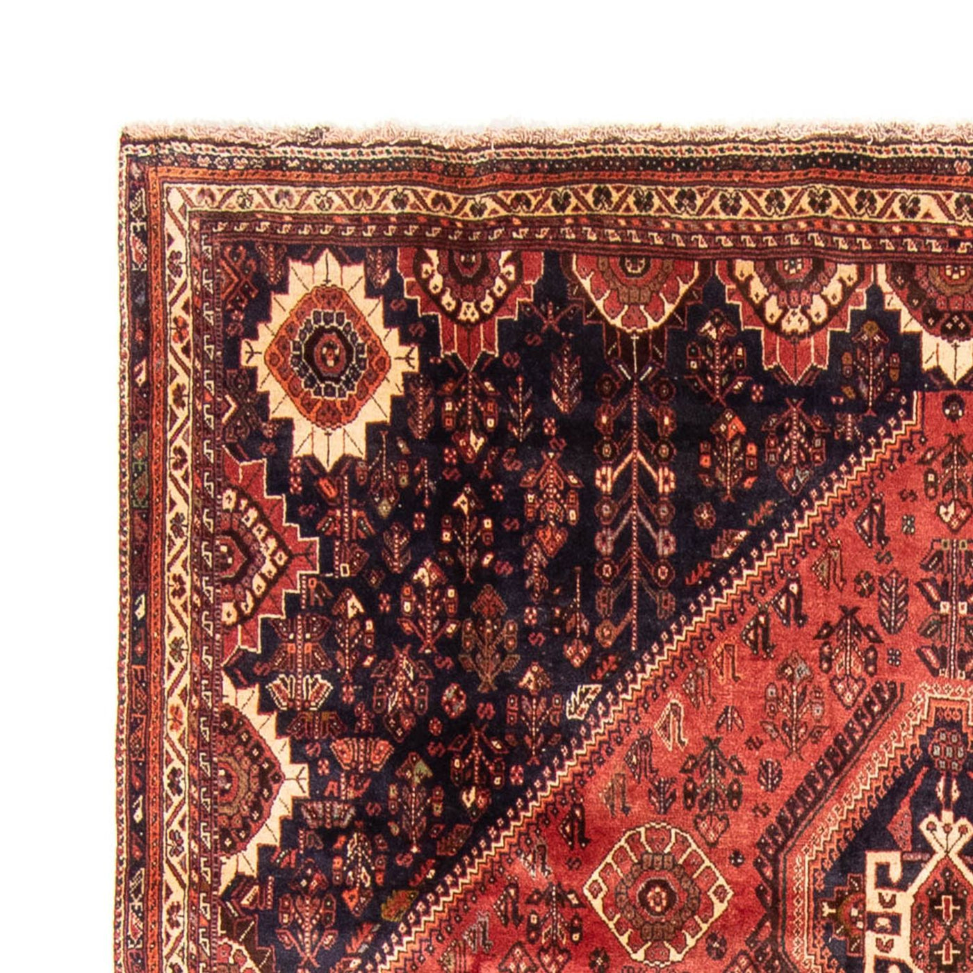 Ghashghai Tappeto 330x221cm - Tappeto persiano