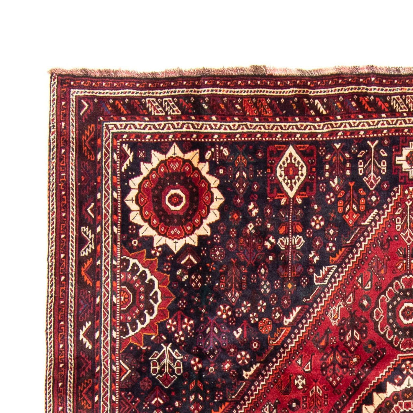 Shiraz Tappeto 315x230cm - Tappeto persiano