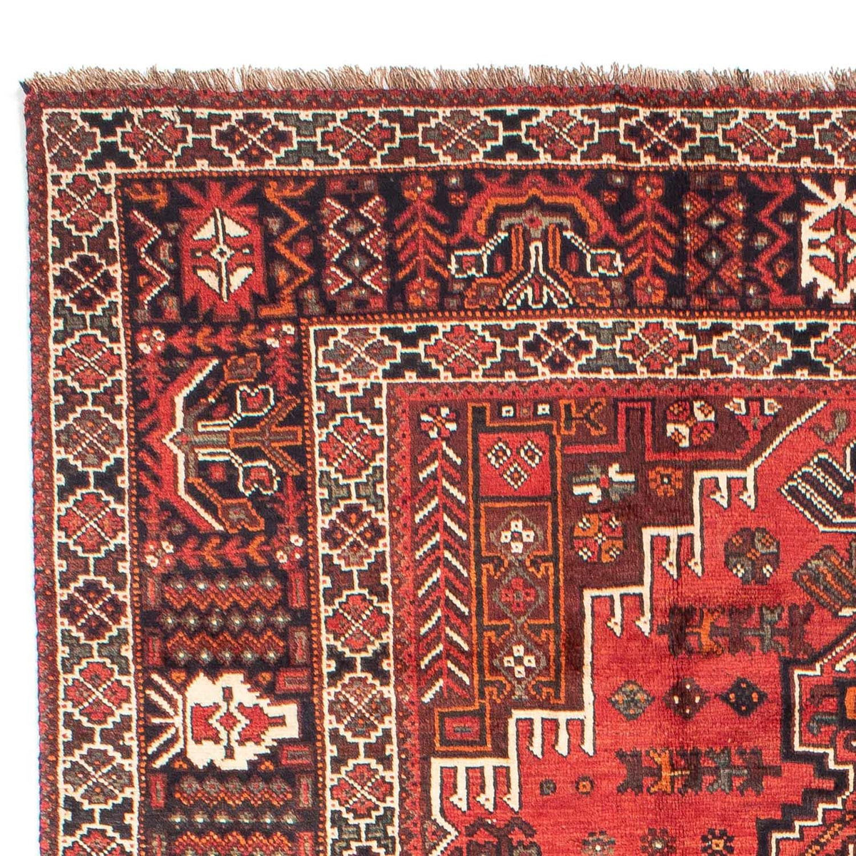 Shiraz Tappeto 210x288cm - Tappeto persiano