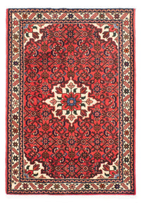 Hosseinabad Tappeto 153x106cm - Tappeto persiano – product image