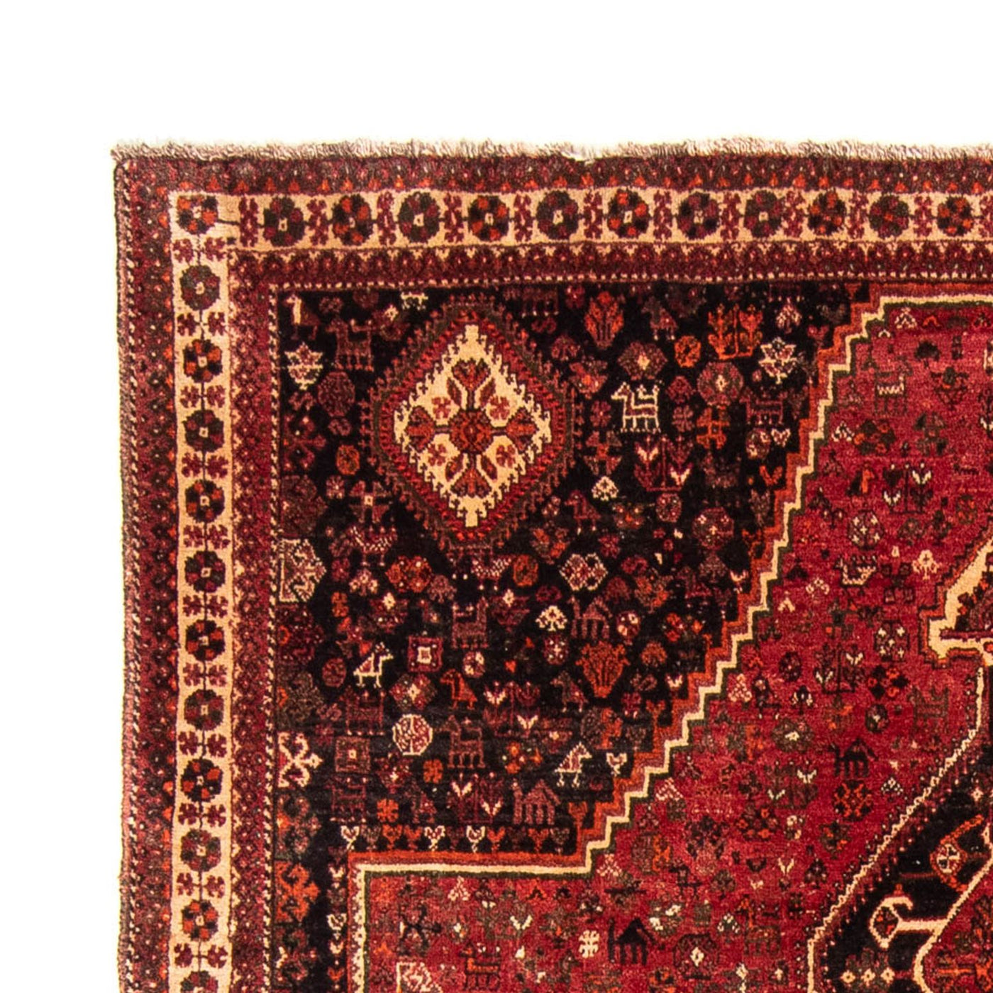 Qashqai Tappeto 320x230cm - Tappeto persiano