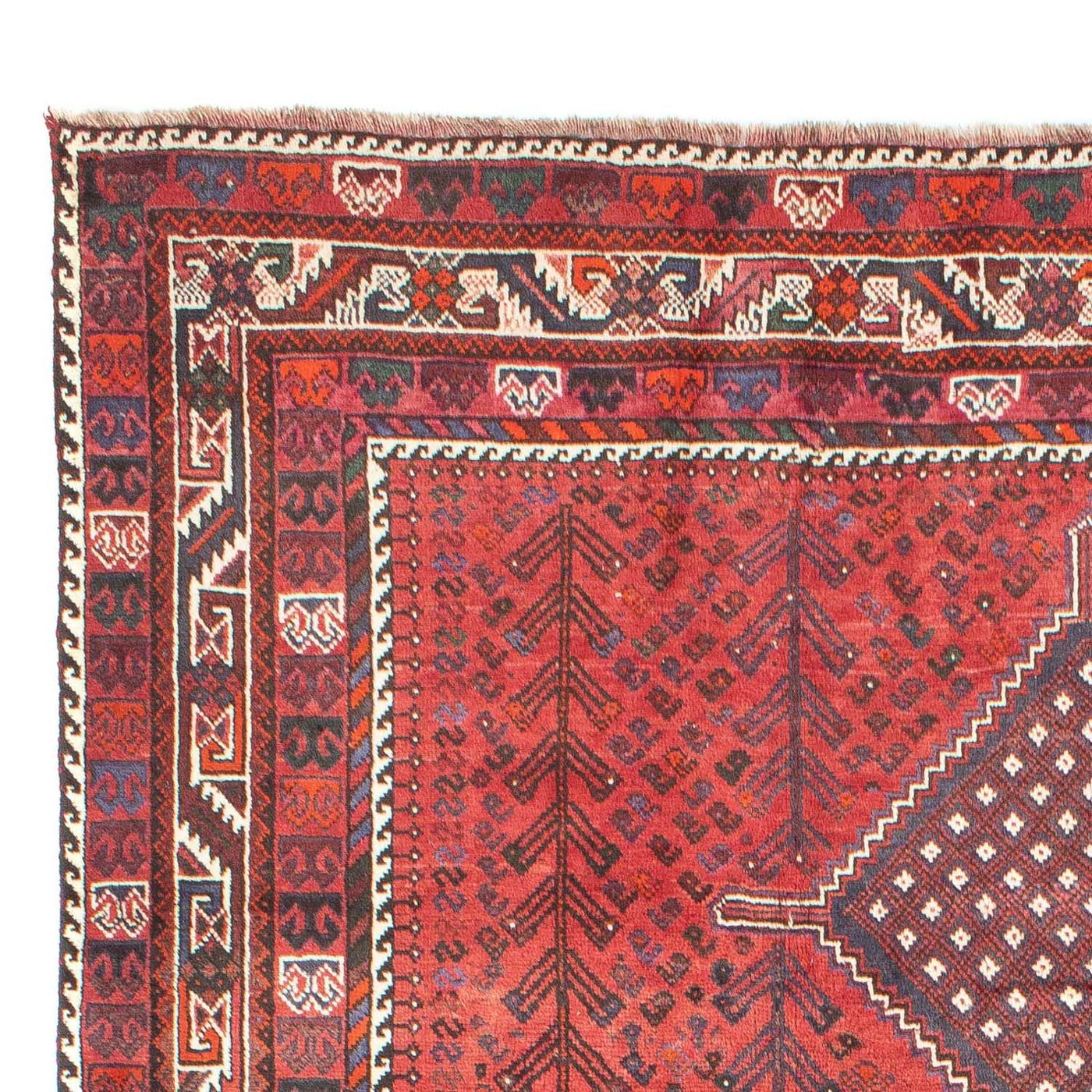 Shiraz Tappeto 310x215cm - Tappeto persiano