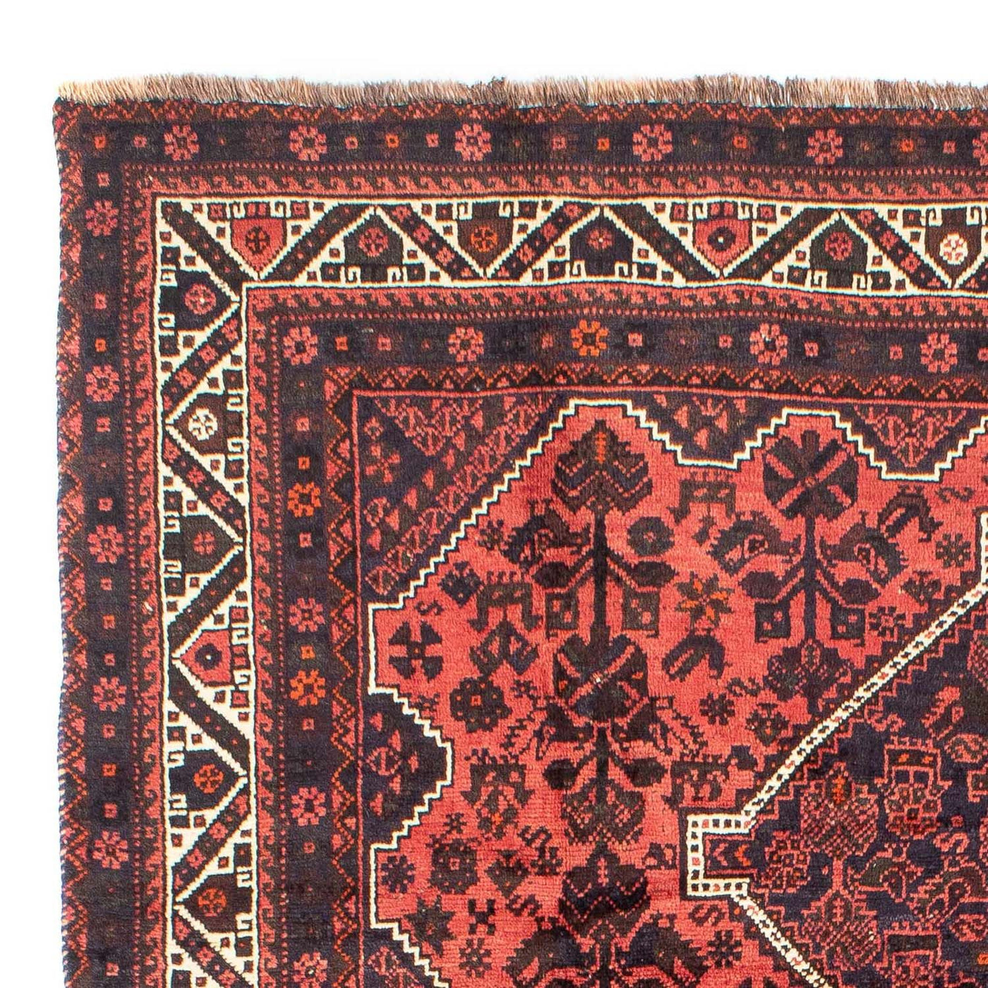 Shiraz Tappeto 300x207cm - Tappeto persiano