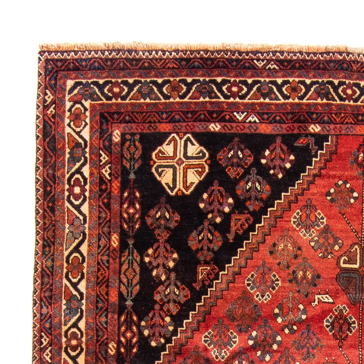 Shiraz Tappeto 235x323cm - Tappeto persiano