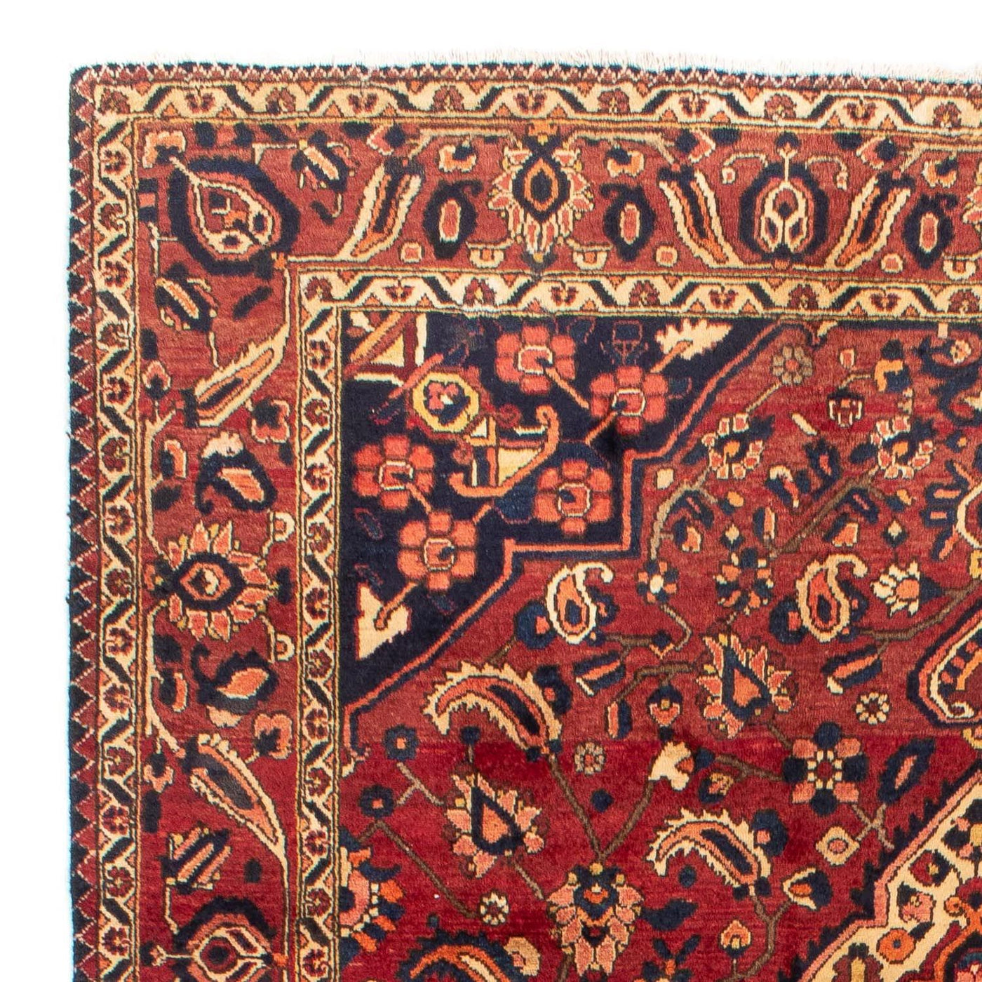 Bakhtiari Tappeto 318x211cm - Tappeto persiano