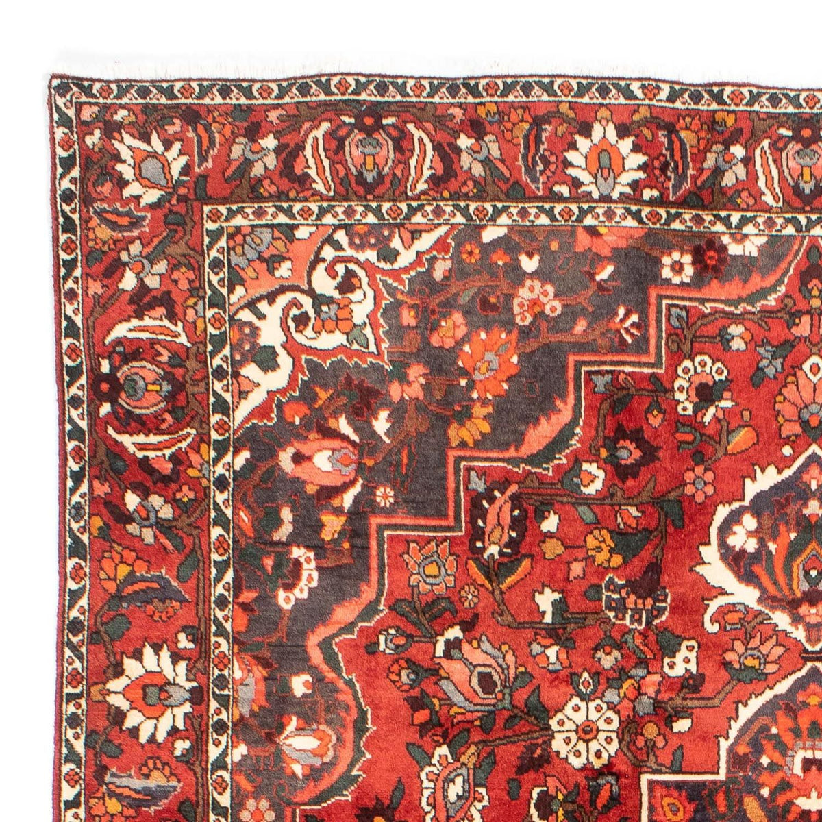 Bakhtiari Tappeto 207x300cm - Tappeto persiano