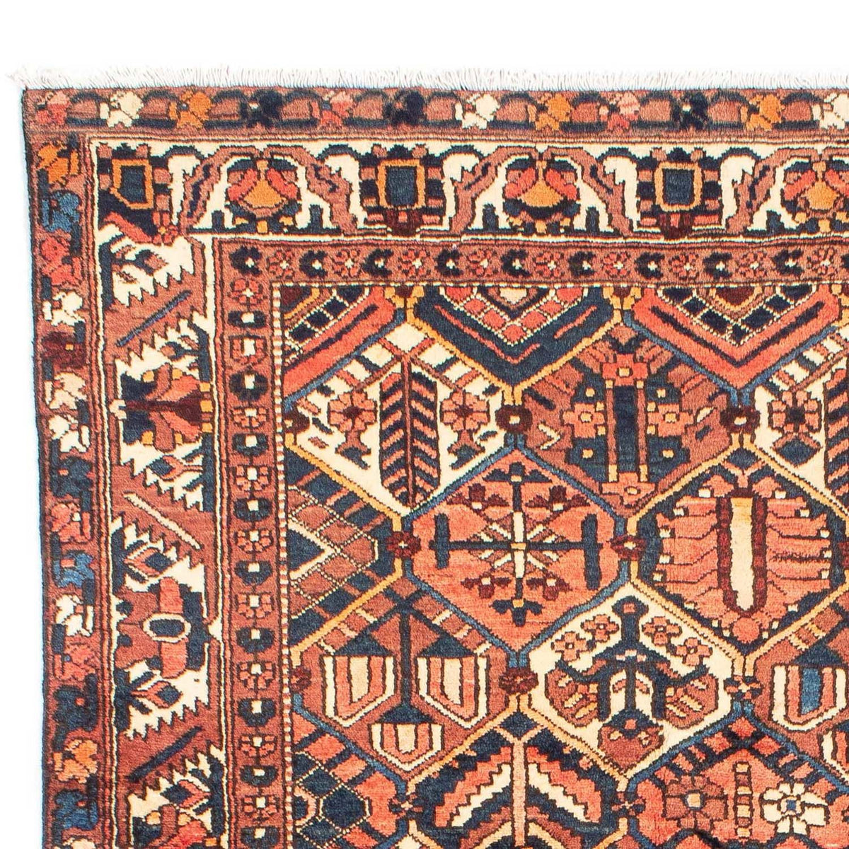 Bakhtiari Tappeto 209x313cm - Tappeto persiano