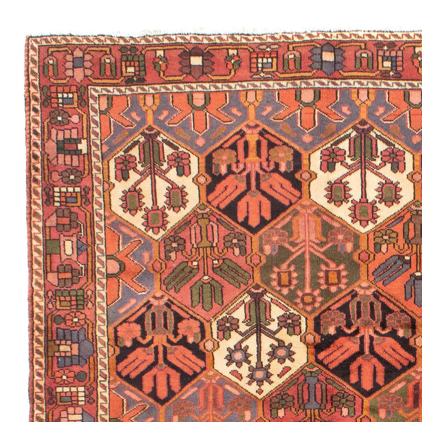 Bakhtiari Tappeto 297x205cm - Tappeto persiano