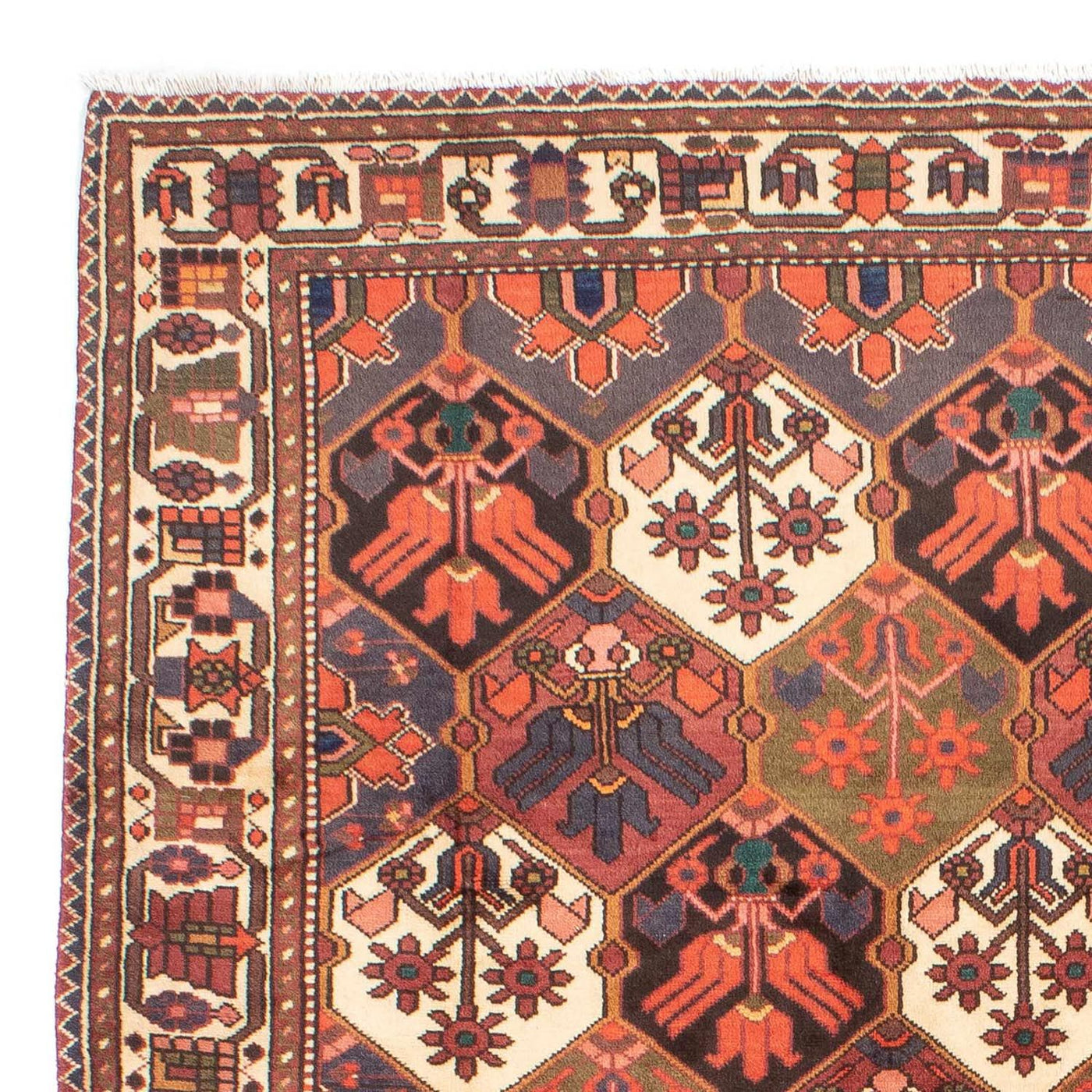 Bakhtiari Tappeto 287x207cm - Tappeto persiano