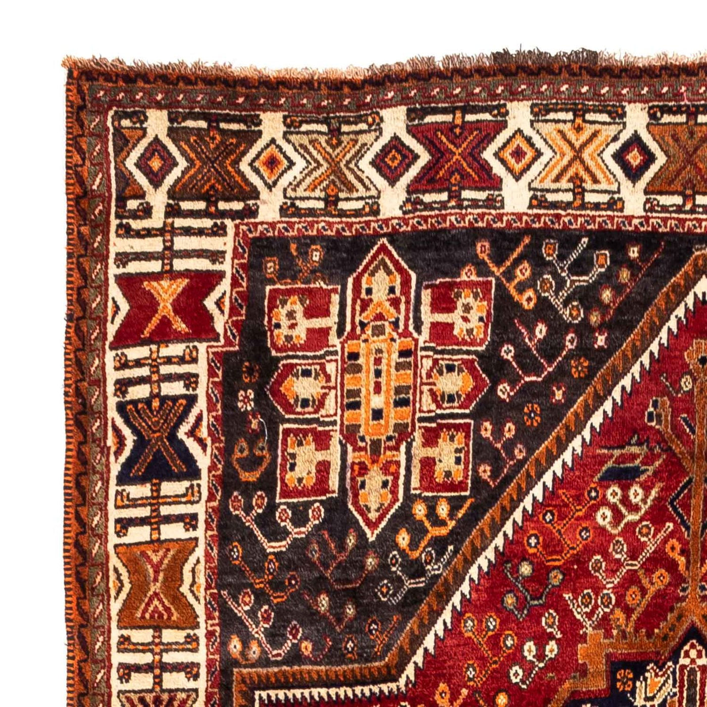 Shiraz Tappeto 257x160cm - Tappeto persiano