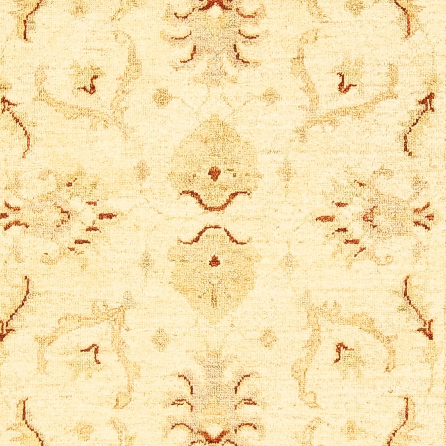 Tappeto Ziegler - 151 x 100 cm - beige