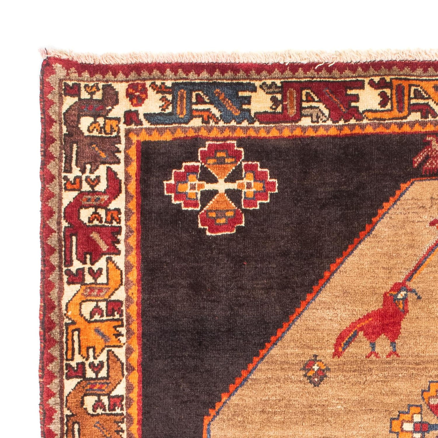 Shiraz Tappeto 160x110cm - Tappeto persiano