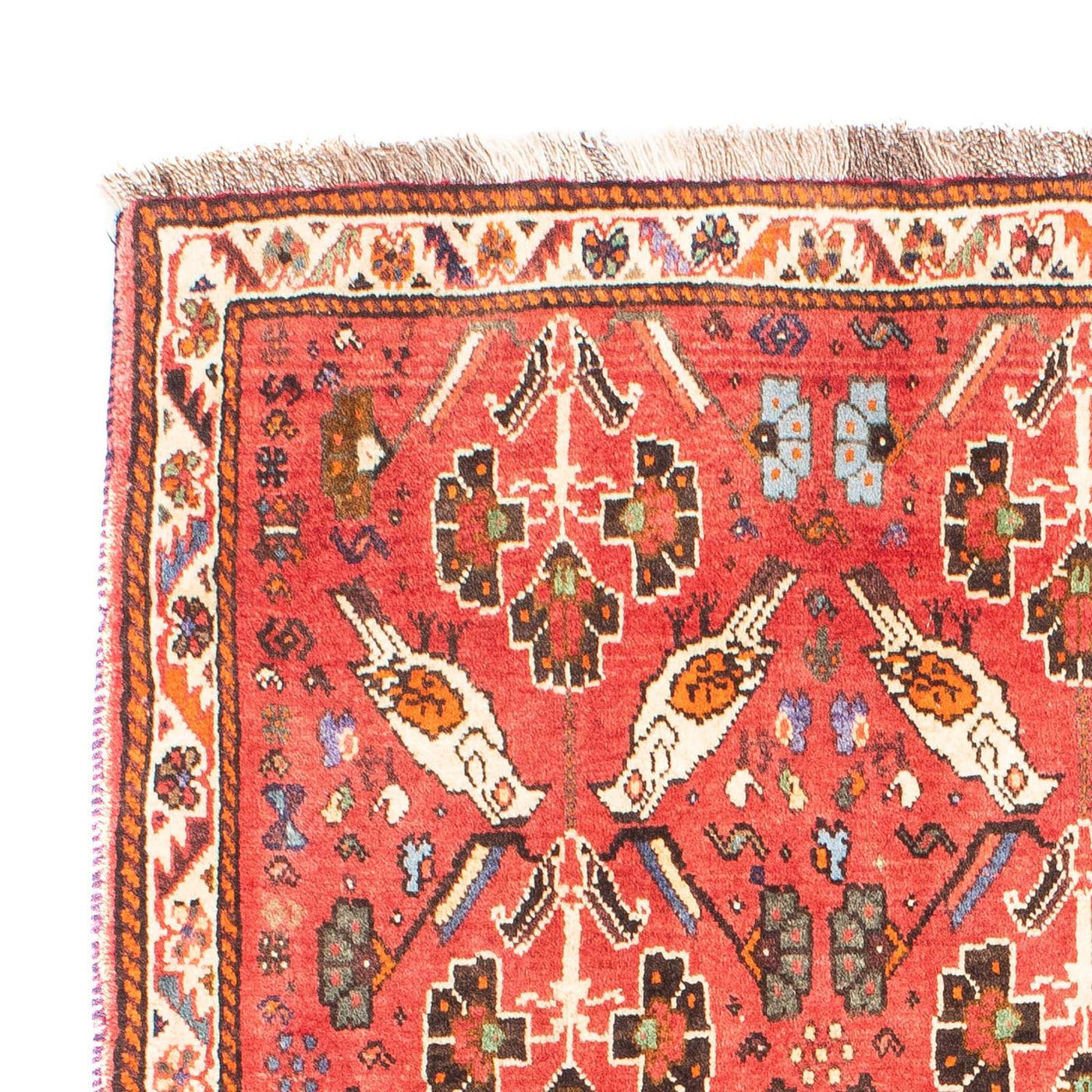 Shiraz Tappeto 162x117cm - Tappeto persiano